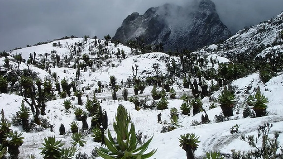 Iarna în Africa. Locuri acoperite cu zăpadă, pe Continentul Negru GALERIE FOTO
