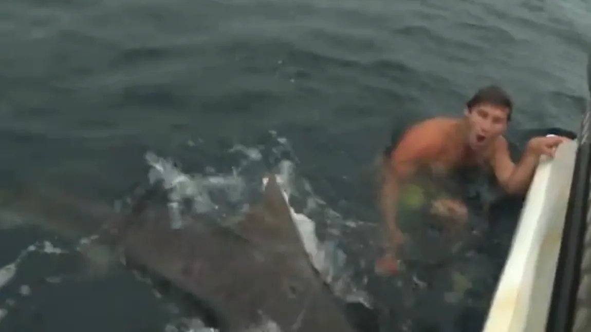 Un bărbat a vrut să înoate alături de un rechin cu o colivie de păsări pe cap. Ce s-a întâmplat VIDEO