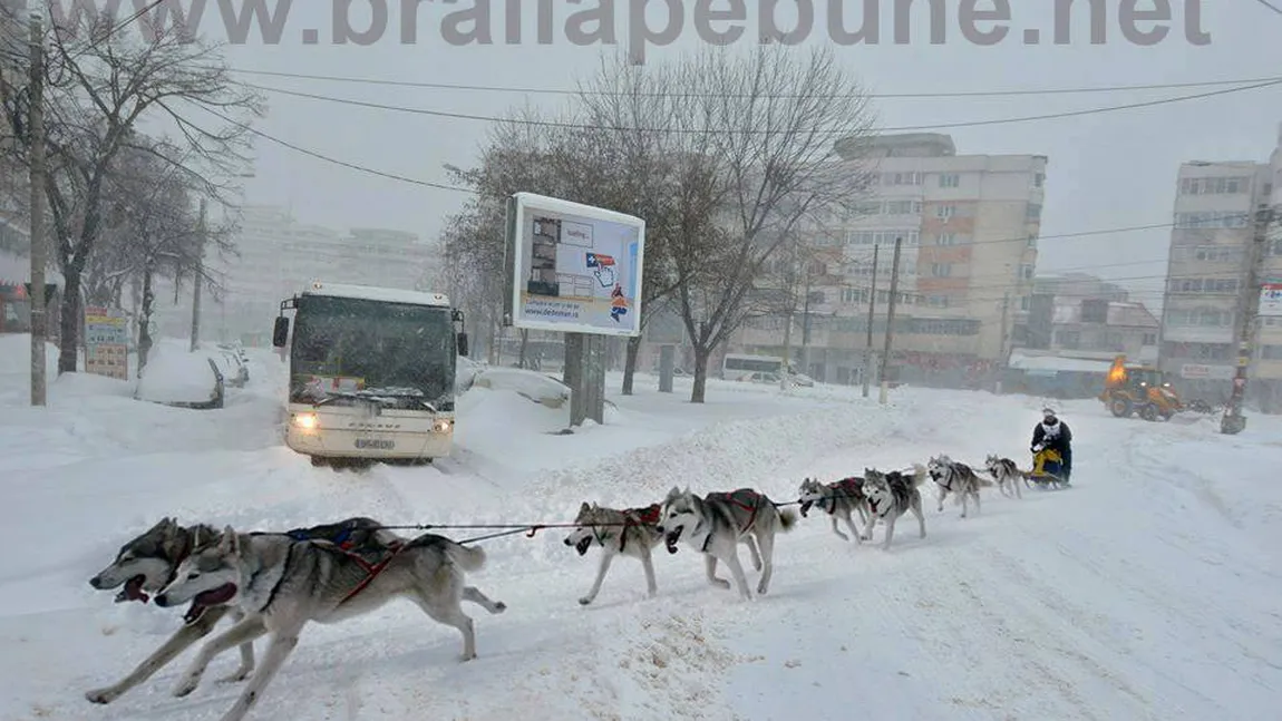 IMAGINEA ZILEI: Noul mijloc de transport din Brăila