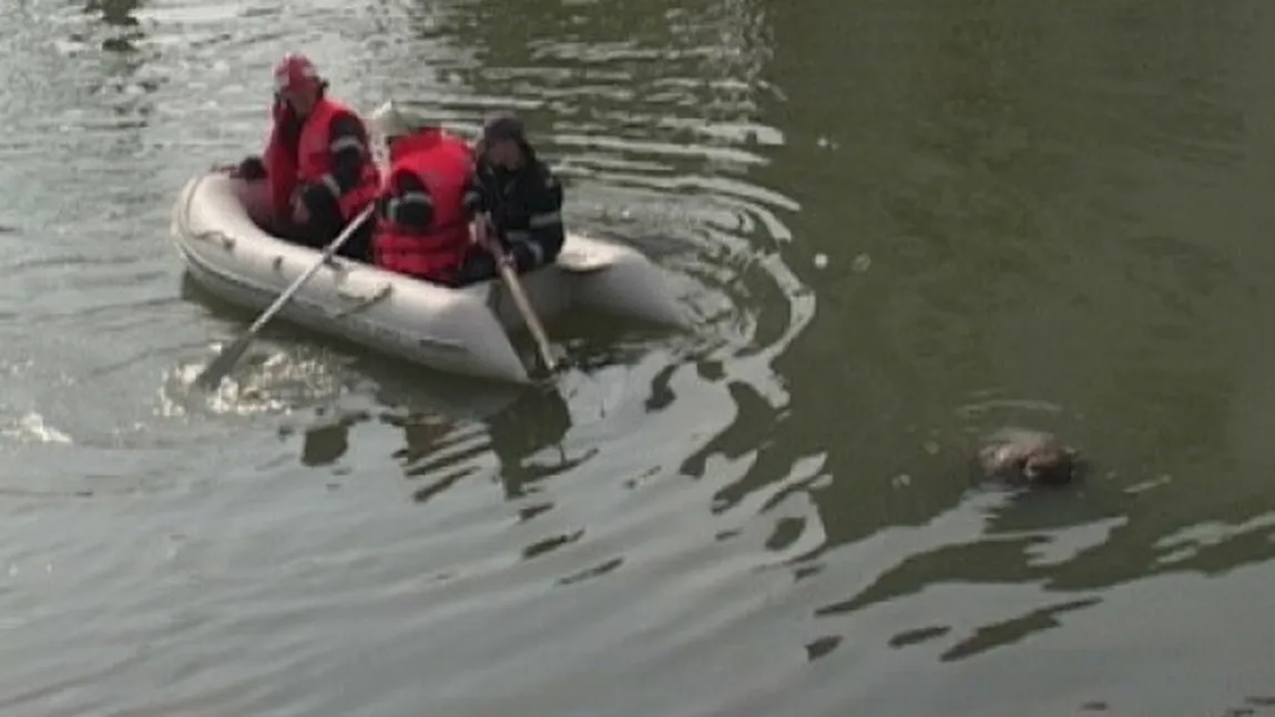 Cadavrul unei bătrâne dispărute de acasă, găsit în râul Buzău
