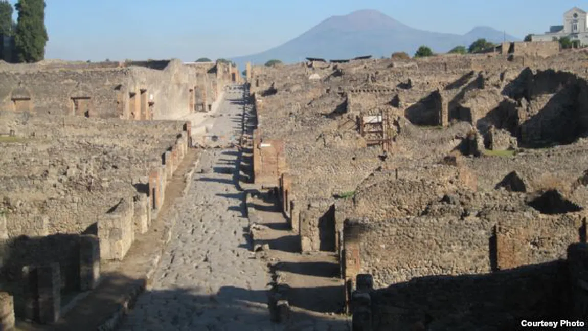 Descoperire ciudată în Pompei: Locuitorii săi mâncau carne de girafă şi de flamingo