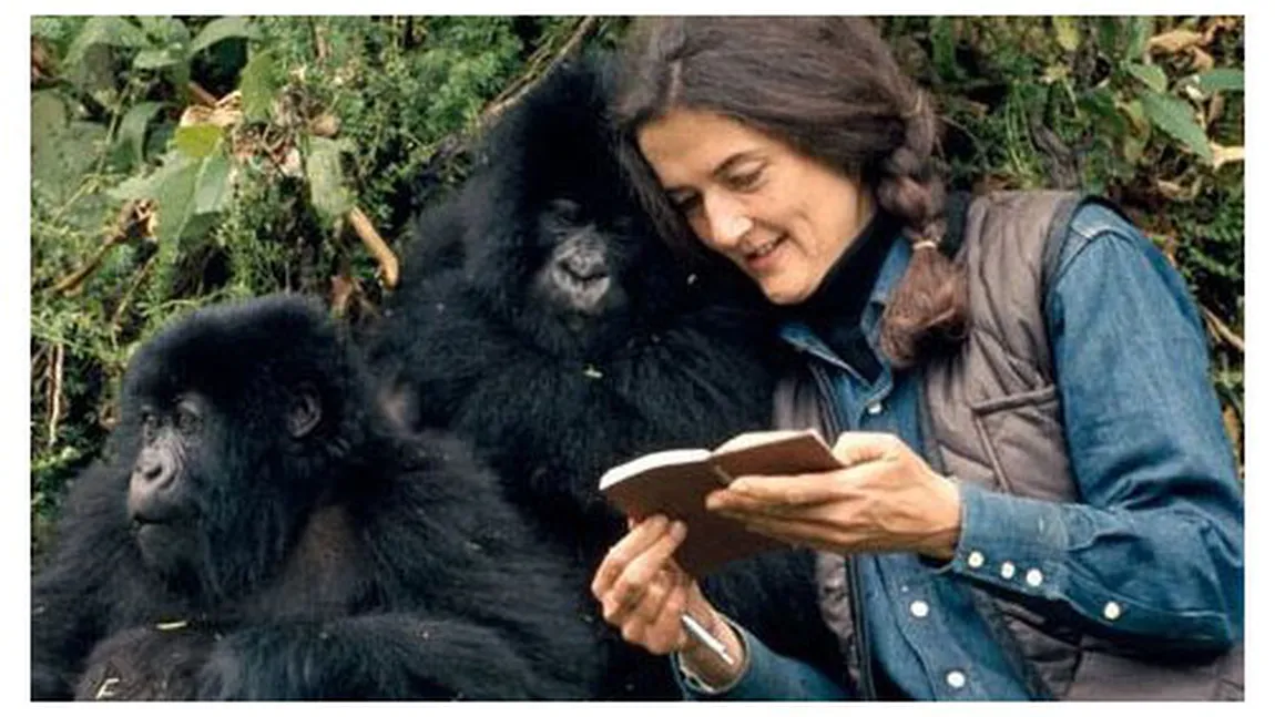 Dian Fossey, povestea ULUITOARE a femeii care a învăţat să fie o gorilă