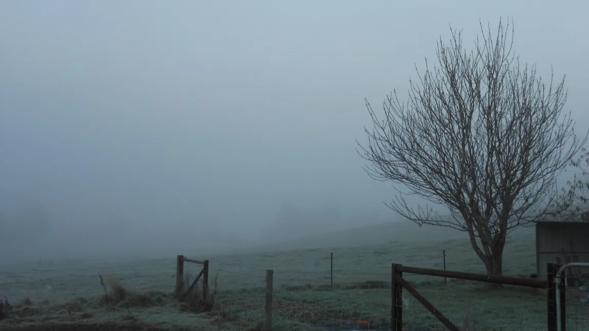 PROGNOZA METEO pe trei zile: Vremea devine mohorâtă