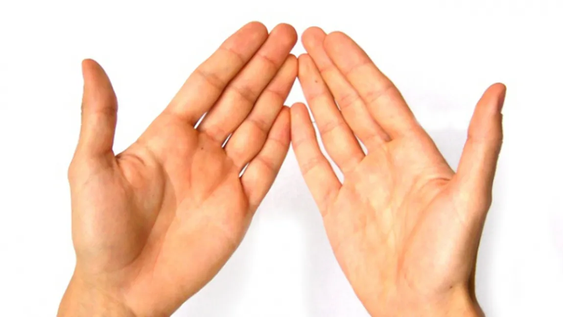 Ce spun mâinile tale despre personalitatea ta: Decodarea secretelor din palmă