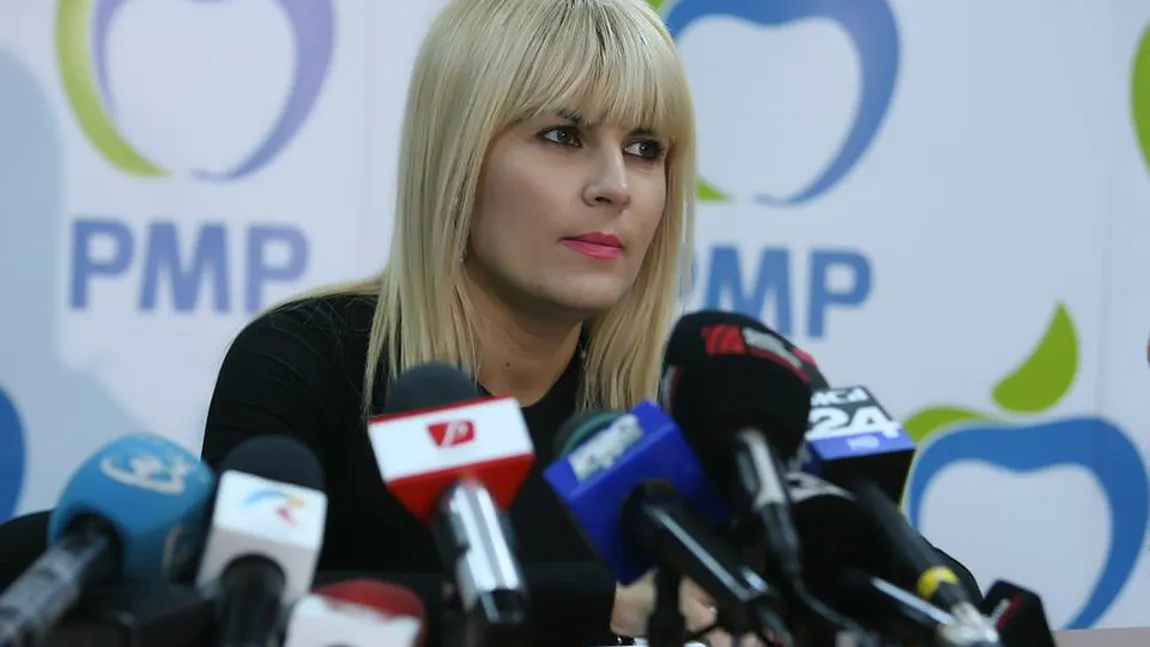 Udrea: Ponta e un instrument în mâna baronilor PSD. Ei îl comandă, au autoritate asupra lui