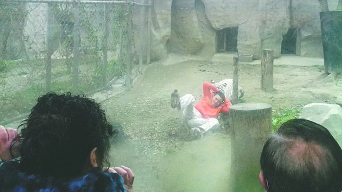 Un chinez s-a aruncat în cuşca tigrilor de la zoo: Vreau să fiu hrana lor FOTO