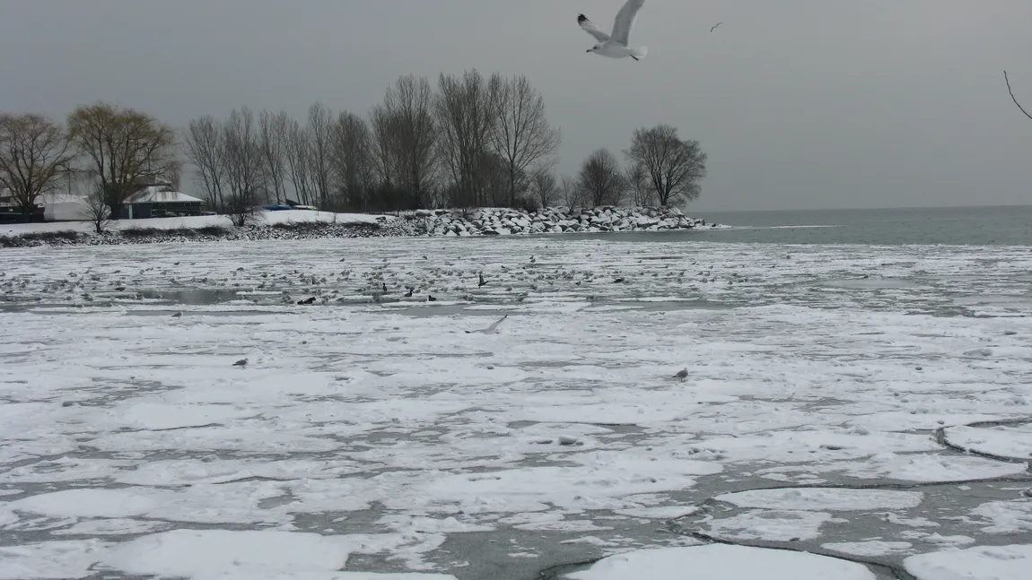 Operaţiune DRAMATICĂ de salvare în Dolj. Doi copii au scăpat cu viaţă din apele îngheţate ale unui lac VIDEO