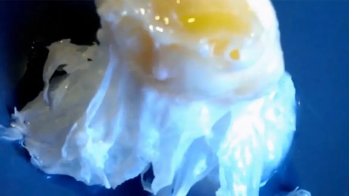 Sigur nu ştiai asta: Ce se întâmplă dacă spargi un ou la -73 de grade Celsius VIDEO