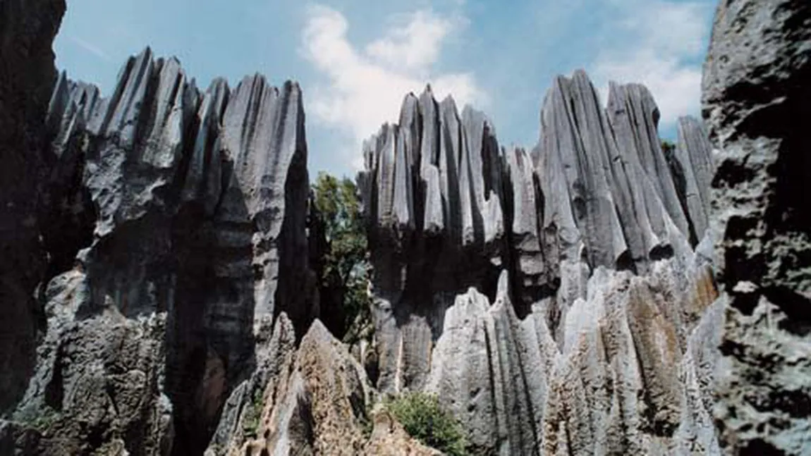 Pădurea de piatră din China. Cum arată 