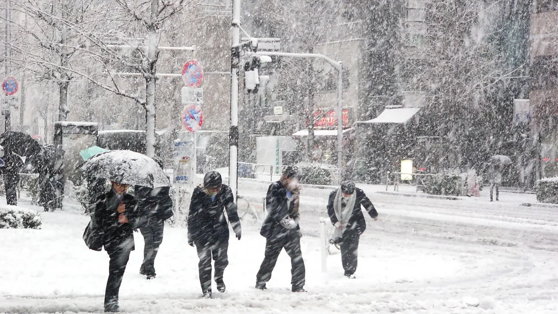 Furtună de zăpadă în Japonia: 5 morţi şi peste 600 de răniţi