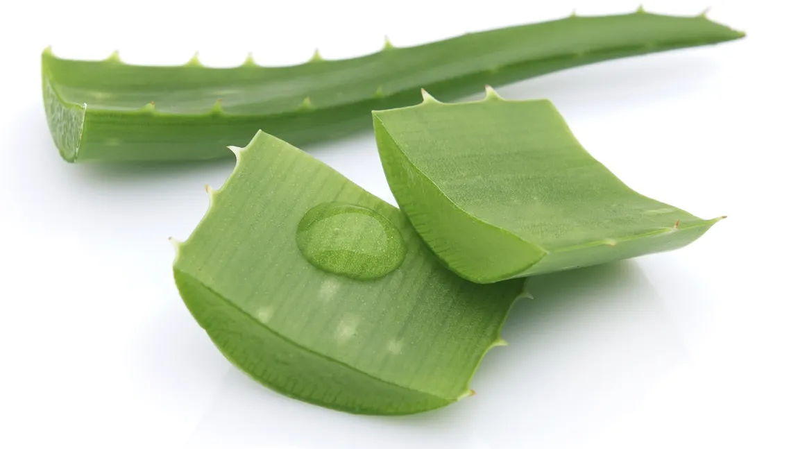 Aloe Vera: 10 beneficii pentru sănătatea ta