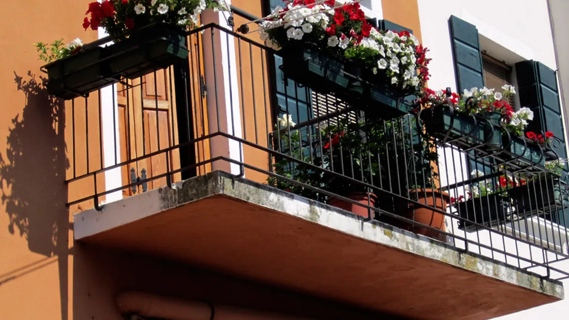 10 sfaturi de la specialiştii în peisagistică pentru grădina de flori din balcon