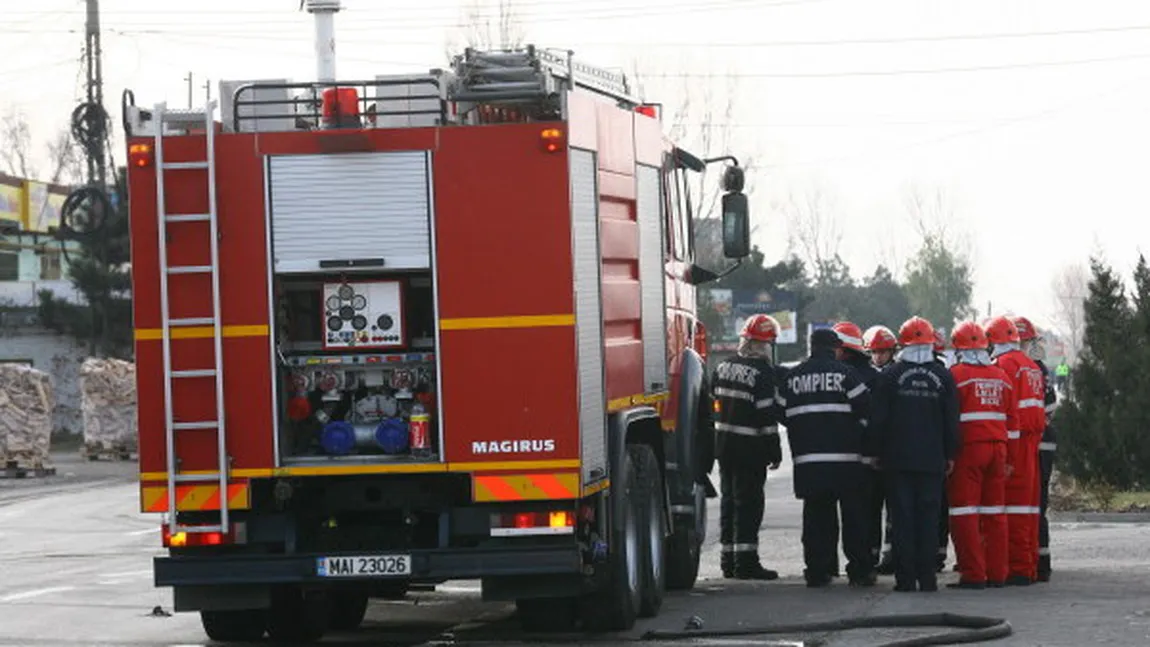 Incendiu DEVASTATOR. Un cioban şi peste 300 de animale au ars de vii