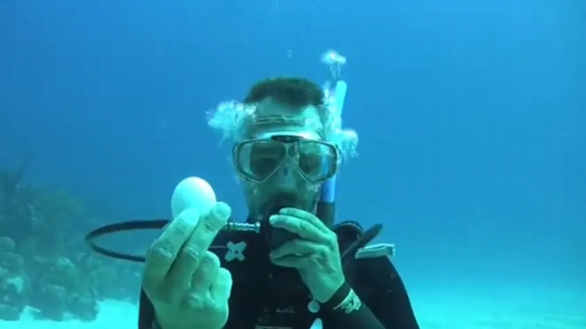 EXPERIMENT INEDIT: Ştiai ce se întâmplă dacă spargi un ou sub apă?
