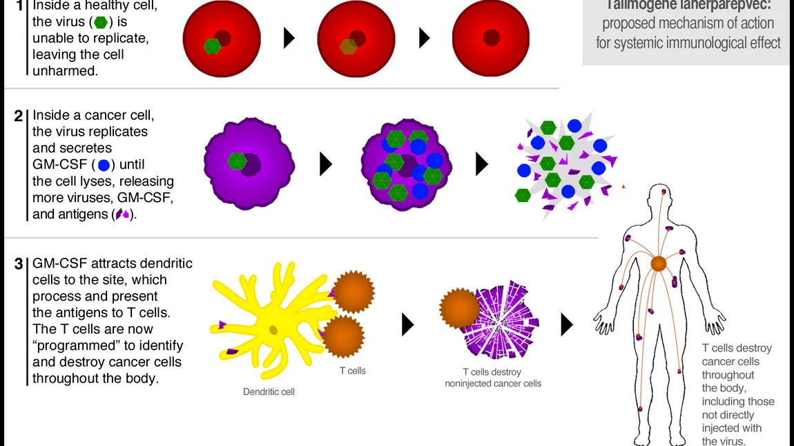 DESCOPERIRE importantă: Vaccin împotriva cancerului