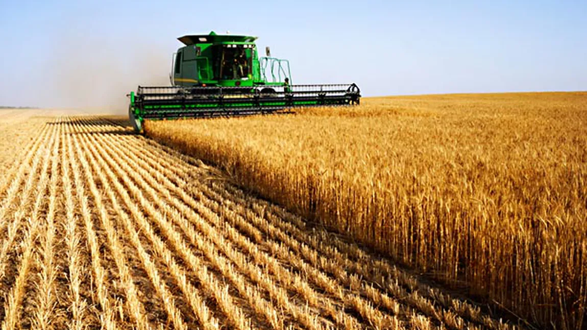 Tot mai multe gaze cu efect de seră provin din agricultură