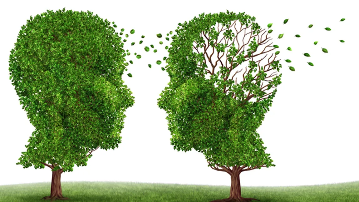 Cercetătorii au reuşit să oprească pierderea memoriei în faza iniţială a maladiei Alzheimer
