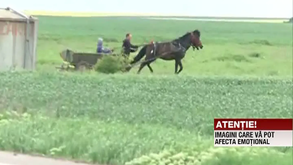 Scene ÎNFIORĂTOARE. Cal BĂTUT CU COASA de stăpân. Filmat, bărbatul a ATACAT şi echipa de jurnalişti VIDEO