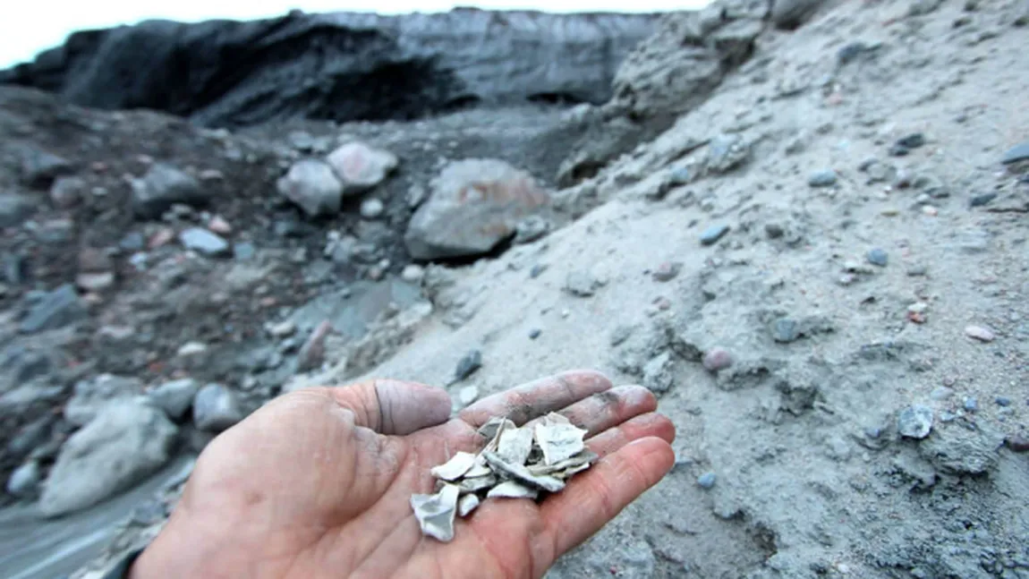 Descoperire uimitoare în Groenlanda: Experţii au găsit o tundră îngropată sub gheaţă