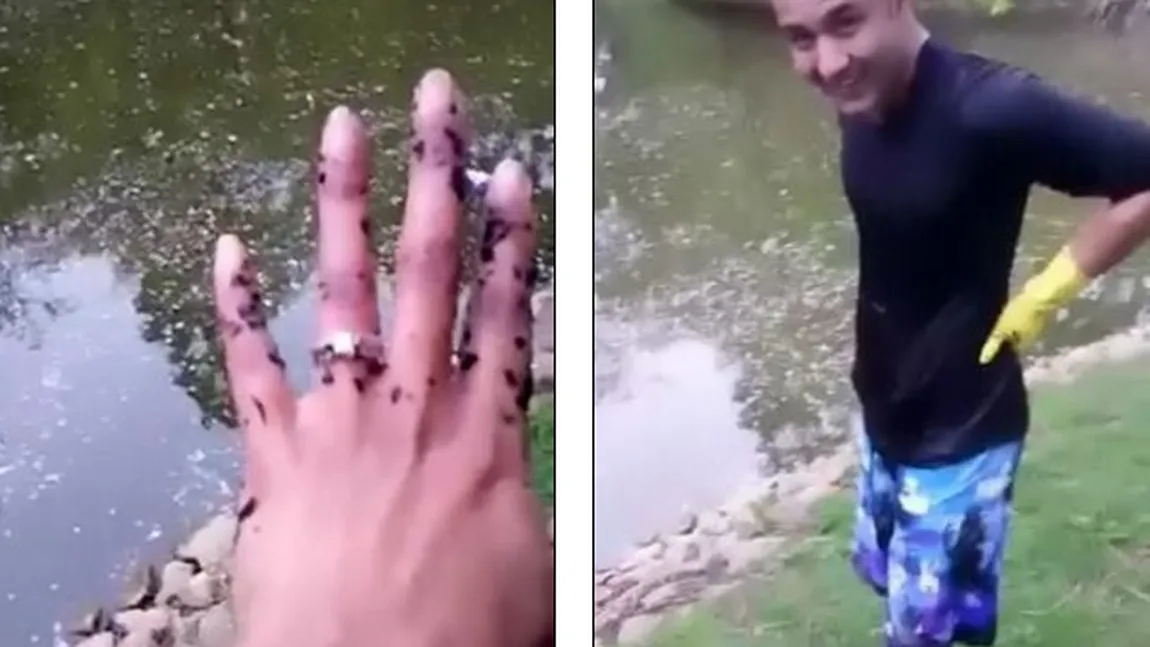 O cerere în căsătorie eşuată: Tânărul a scăpat inelul într-o mlaştină VIDEO