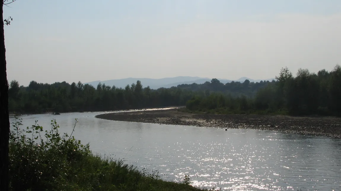 Podul de peste pârâul Câlnău s-a colmatat din nou