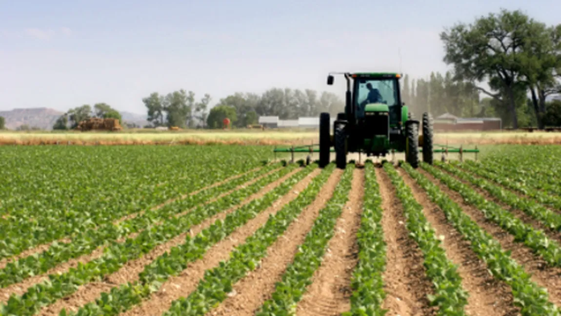 Ministrul Agriculturii: Elaborarea cadastrului rural va începe în toamna acestui an