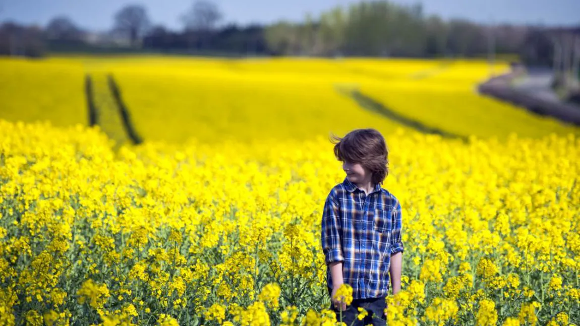 PROGNOZA METEO. Vremea va fi caldă, cu temperaturi de până la 28 de grade, la umbră