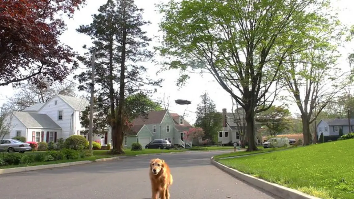 Acum poţi să îţi scoţi şi câinele la plimbare cu drona