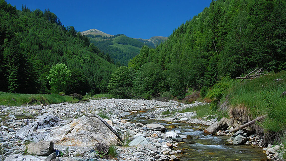 În Munţii Căpăţânii se construieşte a doua staţiune montană