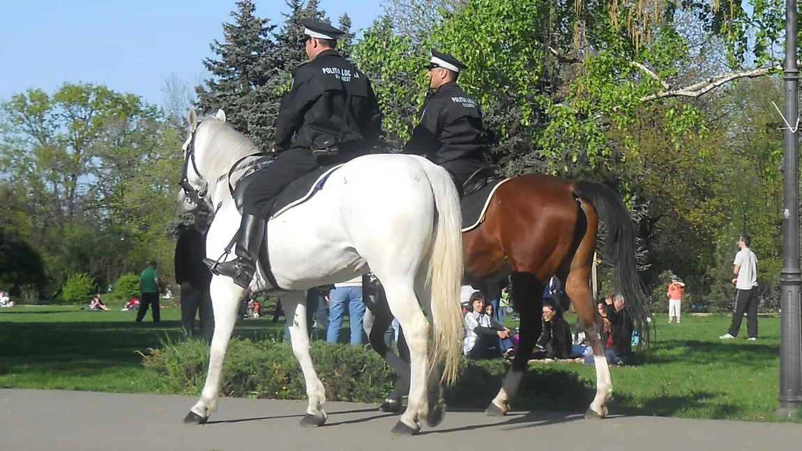 O pungă cu peste 39.000 de lei, găsită de poliţiştii locali în parcul Herăstrău