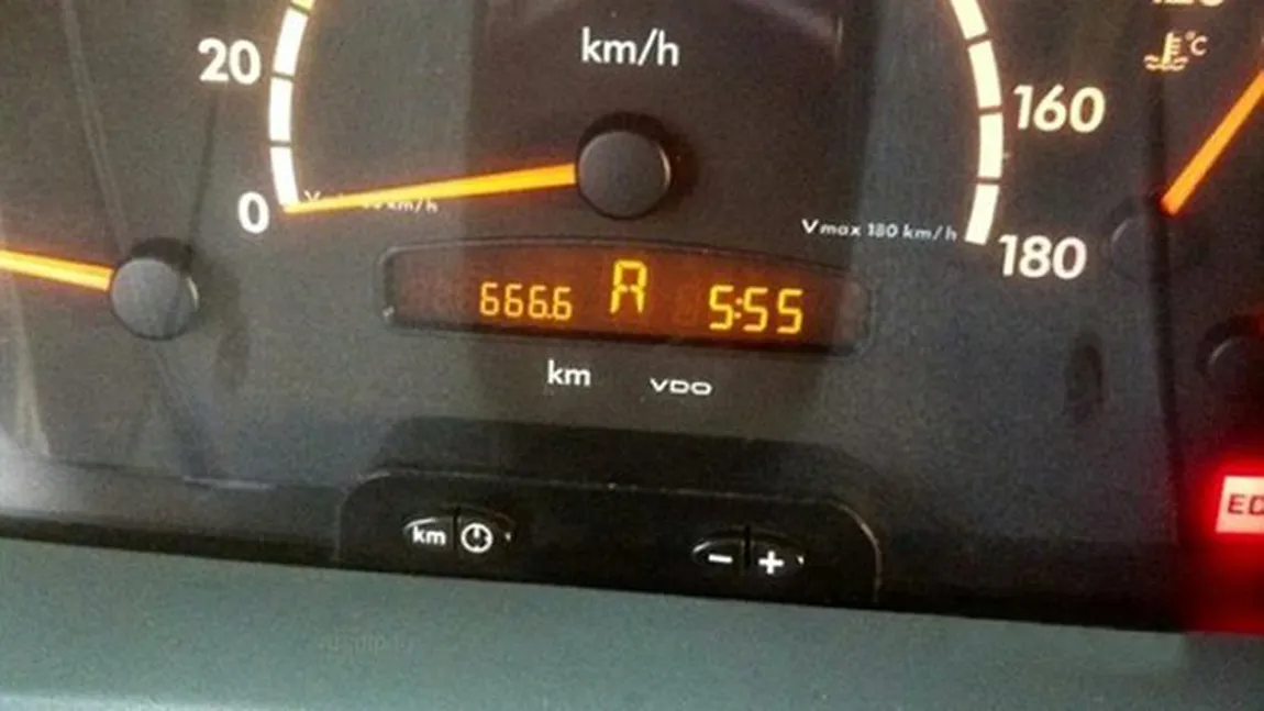 BESTIA DIAVOLULUI. O ERBIVORĂ BEATĂ, lovită de un autocar, a făcut kilometrajul să se oprească la 666 KM FOTO