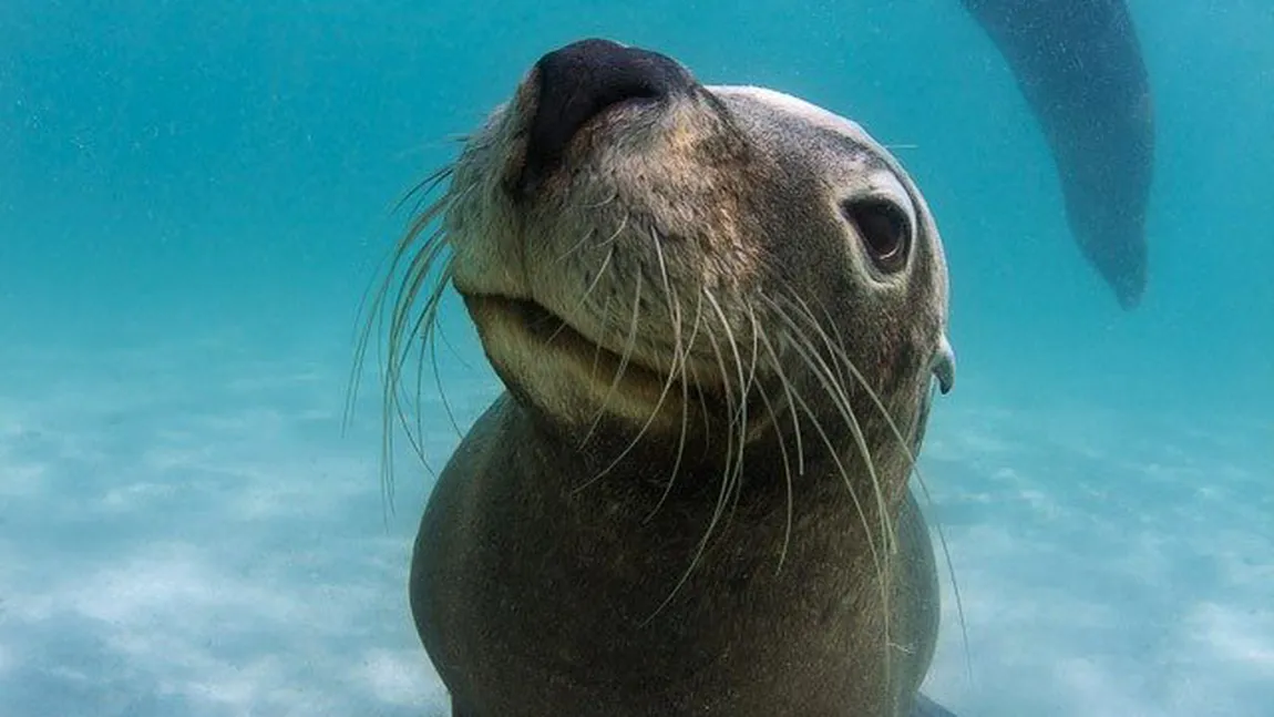 Ziua Mondială a Oceanelor 2014: Împreună, avem puterea de a proteja oceanul