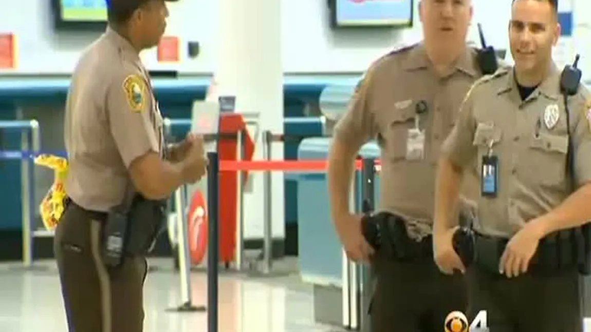 Haos pe aeroportul din Miami, din cauza unui român. În bagajul lui a fost găsit un pachet suspect VIDEO