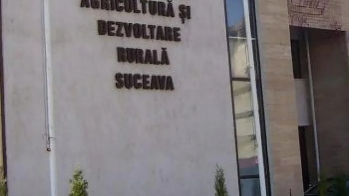 DNA a dispus control judiciar în cazul altor şase persoane implicate în dosarul APIA Suceava