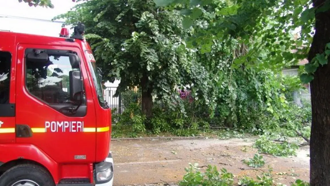 FURTUNI PUTERNICE în Dolj şi Teleorman: Copaci prăbuşiţi, locuinţe şi maşini avariate VIDEO