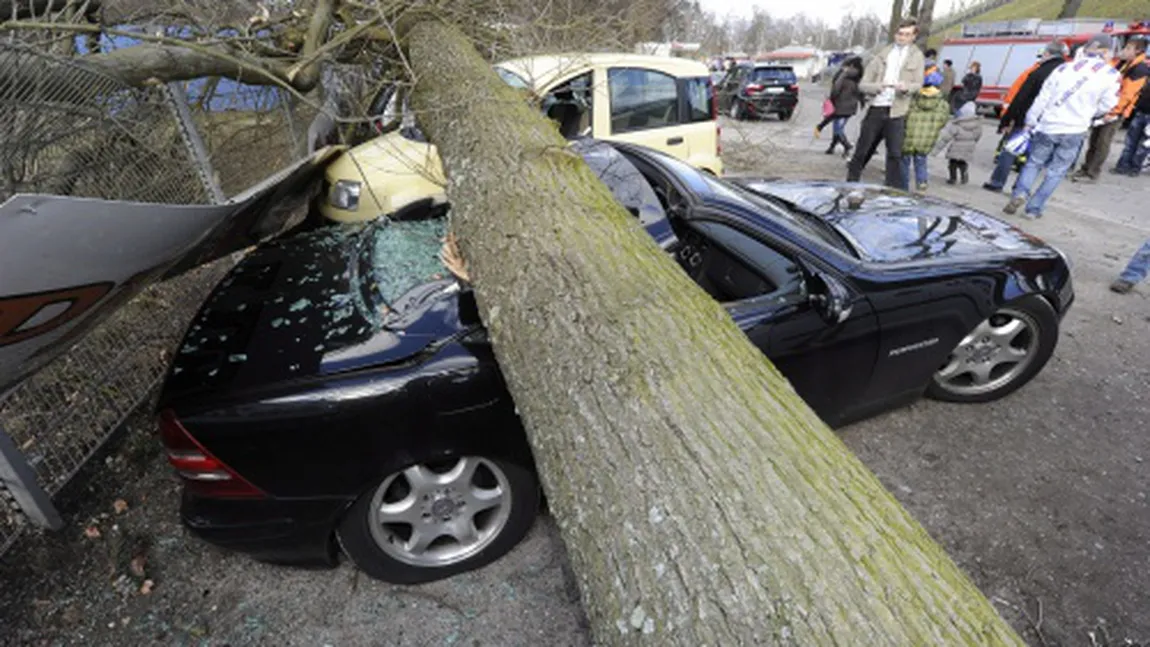Veşti proaste: Proprietarii maşinilor avariate de copacii doborâţi de furtuni nu vor mai fi despăgubiţi VIDEO