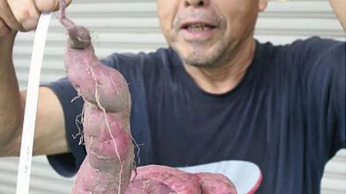 Fructe şi legume MUTANT, afectate de radiaţiile de la Fukushima. Vezi cum arată pepenele şi roşiile FOTO