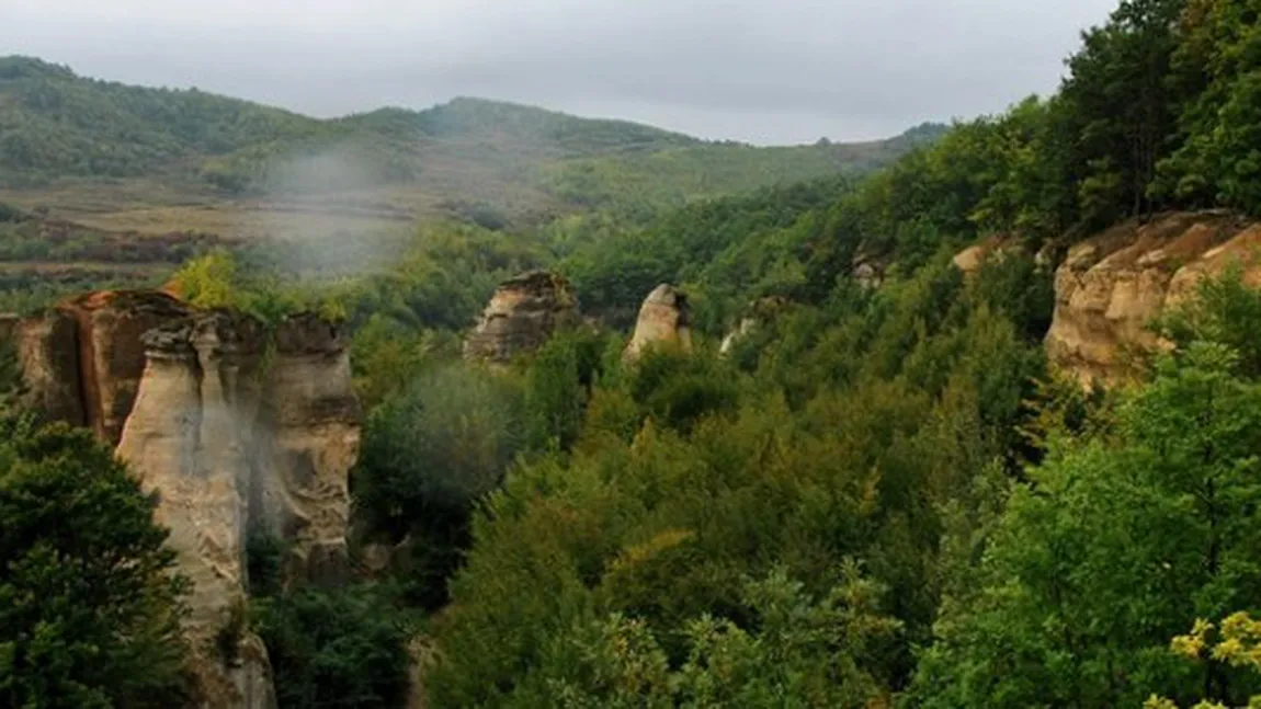 Locuri UNICE în România. Pădurea de Piatră din Grădina Zmeilor, sălaşul misterelor şi al frumuseţii FOTO