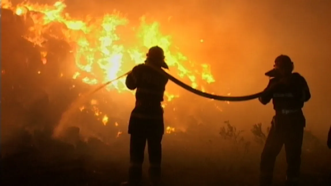 Incendiu VIOLENT la un complex turistic din Buzău VIDEO