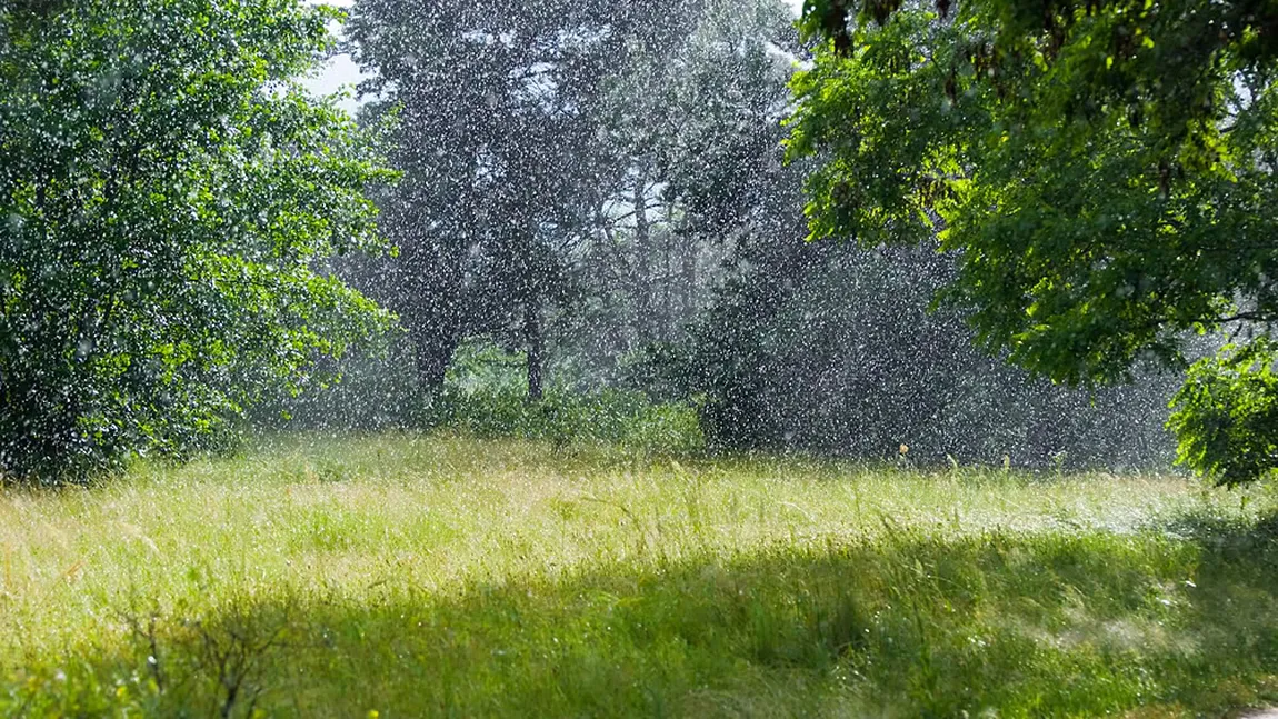 PROGNOZA METEO. Vreme caldă la începutul săptămânii, dar REVIN PLOILE