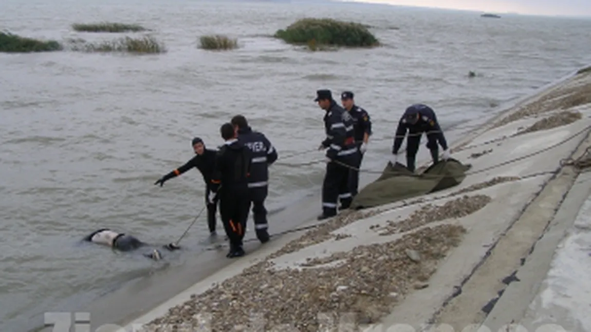 Descoperire MACABRĂ. Cadavrul unui bărbat a fost găsit pe canalul Siret-Bărăgan, lângă Mărăşeşti