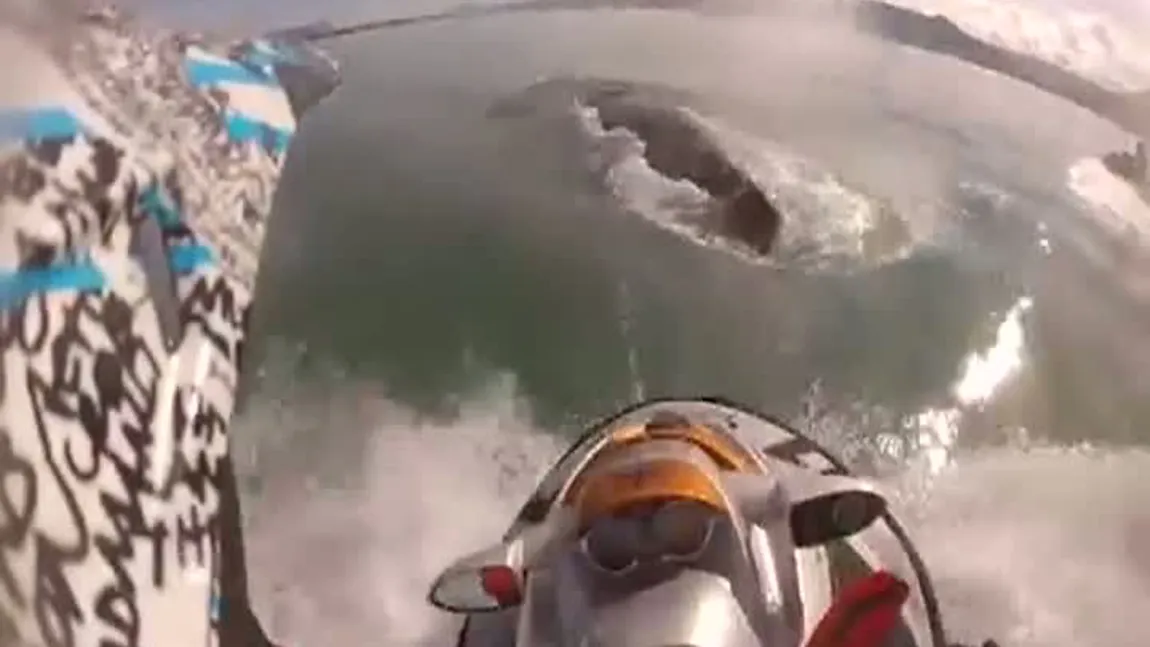 ACCIDENT INCREDIBIL: Un bărbat a lovit o balenă cu ski-jetul VIDEO