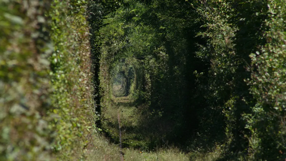 Avalanşă de cereri în căsătorie în Tunelul Dragostei din Banat. Cele mai tari strategii GALERIE FOTO