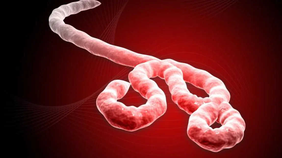 Unul dintre cei doi americani infectaţi cu virusul Ebola a fost adus în Statele Unite