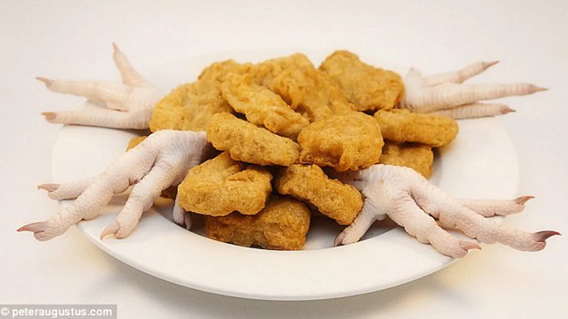 Din ce este făcută cu ADEVĂRAT mâncarea fast food. Nu o să mai vrei să mănânci NICIODATĂ chicken nuggets FOTO