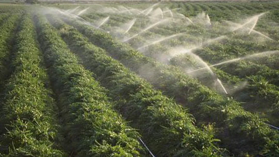 Ministerul Agriculturii: Până în octombrie vrem să stabilim o strategie a sectorului de irigaţii