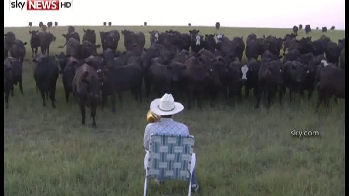 Metoda INEDITĂ a unui fermier cu ajutorul căreia îşi adună cireada cât ai clipi VIDEO