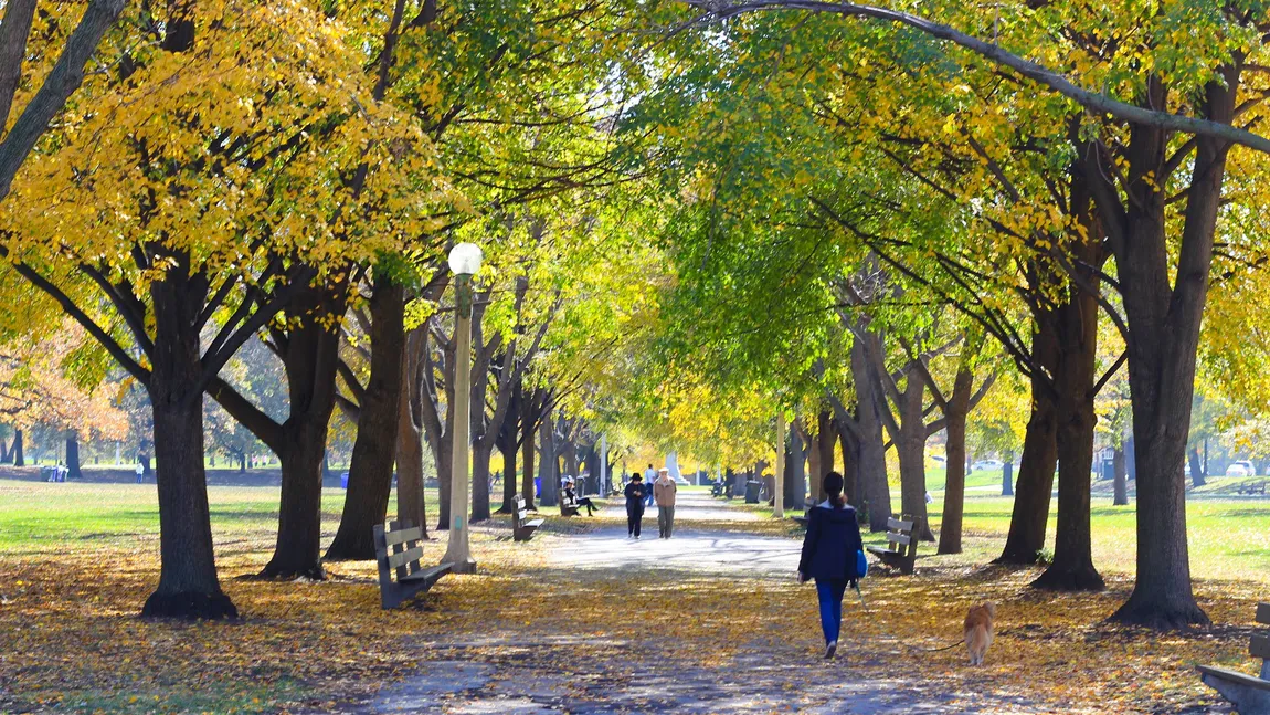 PROGNOZA METEO. Vremea se încălzeşte şi avem parte de temperaturi de până la 29 de grade