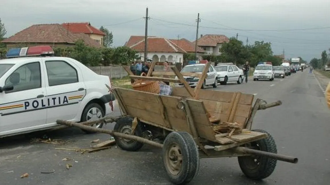 Un şofer a murit, după ce calul pe care l-a lovit cu maşina a intrat prin parbriz