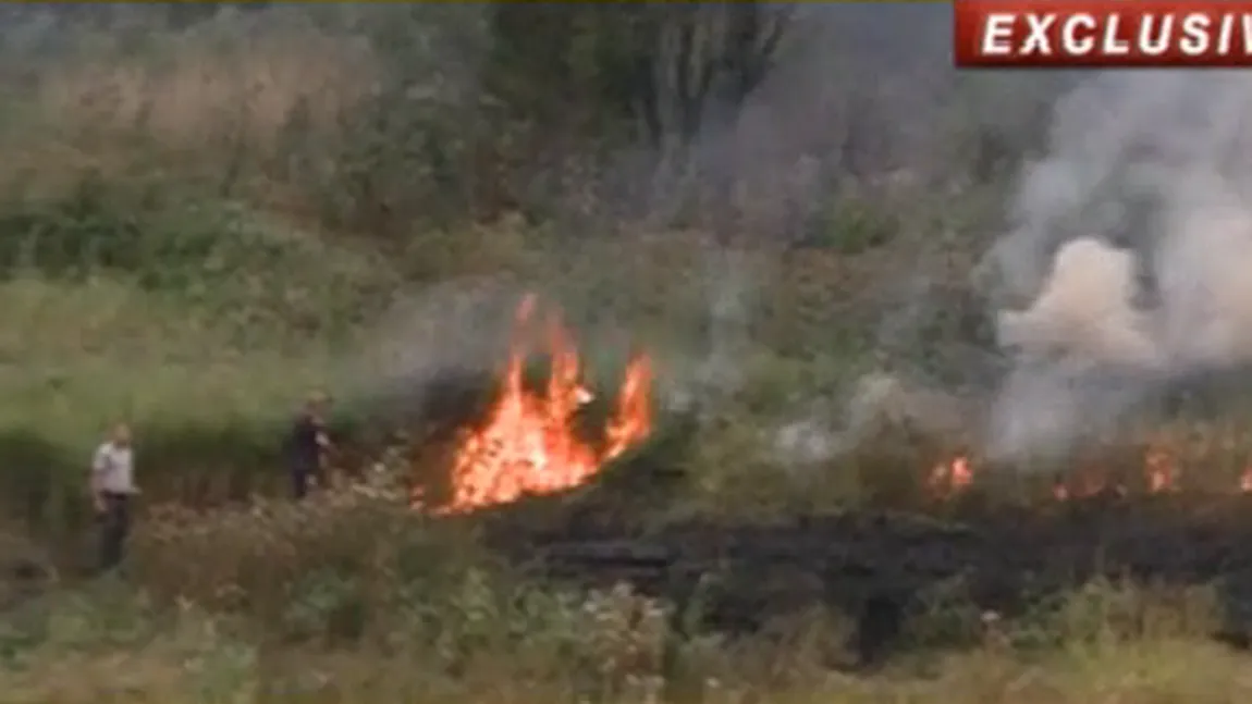 INCENDIU PUTERNIC în zona lacului Văcăreşti din Capitală VIDEO